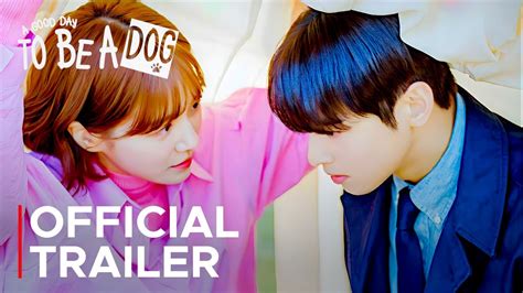 a good day to be a dog izle|a good day to be a dog eng sub.